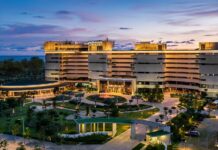 Tư vấn quản lý dự án